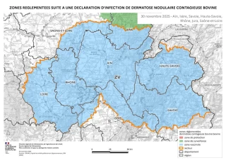 Mouvements : les règles s’assouplissent