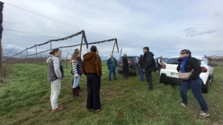 Producteurs de fruits, pourquoi pas vous ?