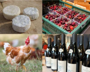 Appellations sous tension