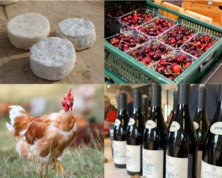 Appellations sous tension