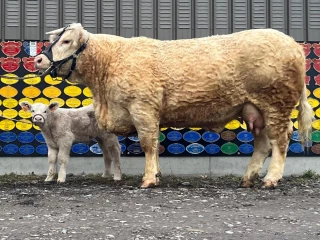 Challenge digital Paris 2026 : le Gaec Goujat lauréat