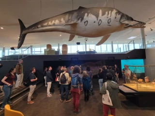 Fossilea, l’écrin de l’histoire beaujolaise, fait peau neuve