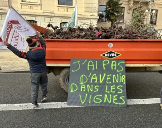 Une année sur tous les fronts