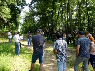 Une filière bois et forêt qui vit avec son temps