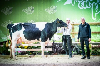 L’élevage Holstein du Rhône en lice !