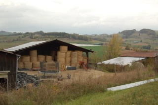 Se lancer avant une nouvelle baisse des tarifs…