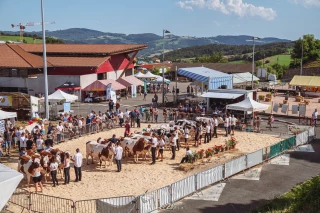 La fête à Pomeys les 5 et 6 juillet 