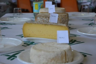 Des podcasts pour tout savoir sur le fromage