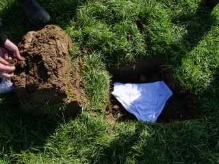 Connaitre la vie des sols grâce à un slip