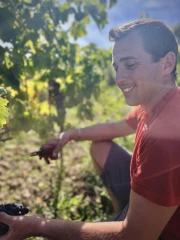 Les millésimes se suivent sans se ressembler