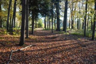 Les 3 règles d'or de Fransylva