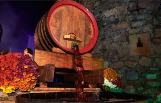 Le programme dévoilé