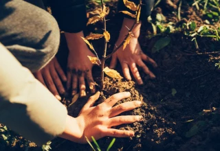 Planter l’avenir avec les écoliers