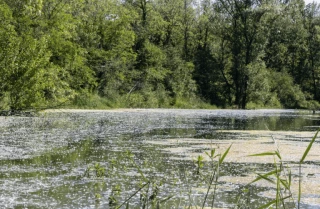 La nature au fil de lône