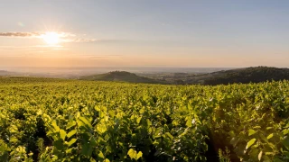 Des expériences immersives pour 2025