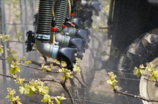 Pestiriv, l’étude qui secoue la vigne