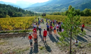 Convivialité et nappes à carreaux