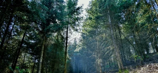 Risques d’incendies : tous vigilants