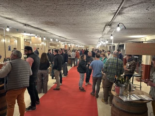 Les pros du vin bio réunis à Régnié-Durette