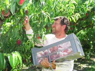 « La protection physique des vergers peut être un moyen de fidéliser les salariés »