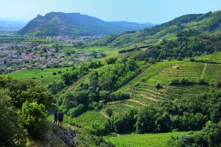 La candidature des côtes-du-rhône septentrionales au patrimoine mondial de l’Unesco se concrétise