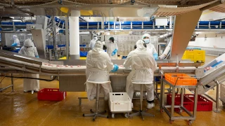 Égalim 4 : les professionnels poussent leurs propositions 