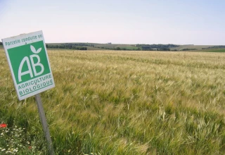 Rebond pour l’agriculture biologique attendu en 2025 