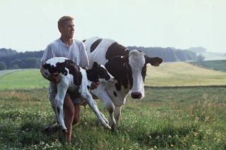 Les nouveaux installés à rebours des idées reçues