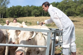 Le gouvernement maintient le cap sur la DNC