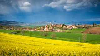Un cercle de réflexion pour la défense du monde rural