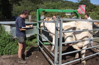 DNC : Au coeur de la vaccination