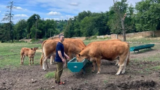 Carnet de voyage d'un artiste japonais en terres d'élevage