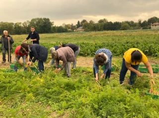 Devenir ambassadeur de Solaal 