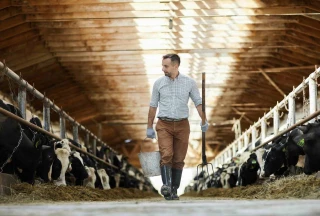 Les éleveurs laitiers veulent reprendre leur destinée en mains