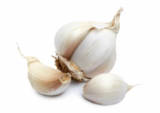 La campagne de l'ail s’ouvre dans des conditions favorables