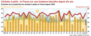 Céréales à paille : la France sur une tendance baissière depuis dix ans
