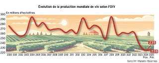 La production mondiale de vin se ressaisit en 2025