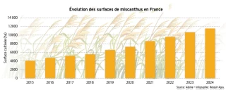 Lente progression du miscanthus en France